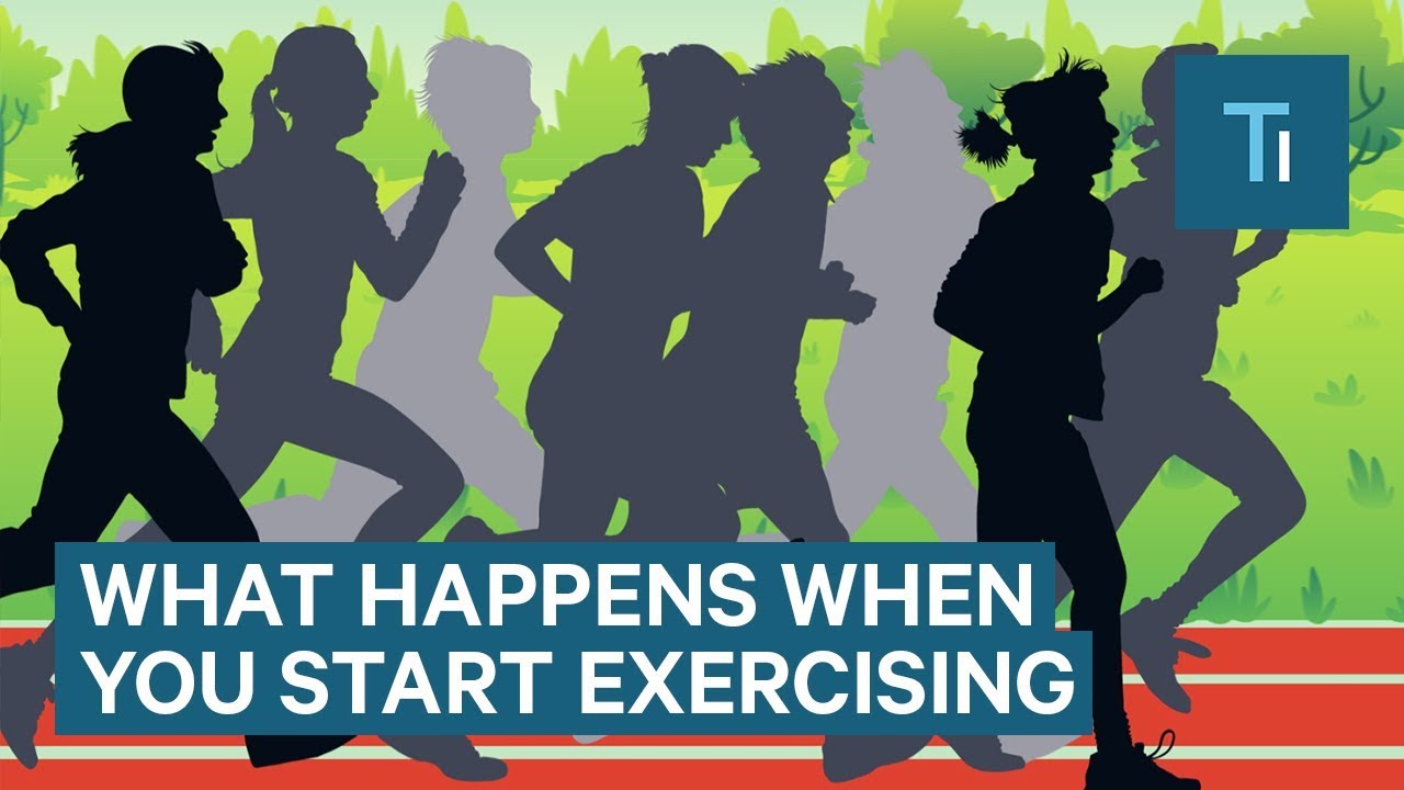 What Happens To Your Body When You Start Exercising Regularly
